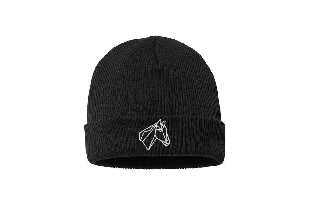 Giant Steps Columbia Whirlibird Cuffed Beanie
