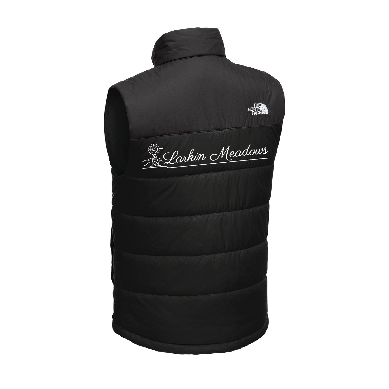 Larkin Meadows Men's The North Face Everyday Insulated Vest