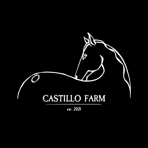 Castillo Farm Men's Ariat Crius Insulated Jacket