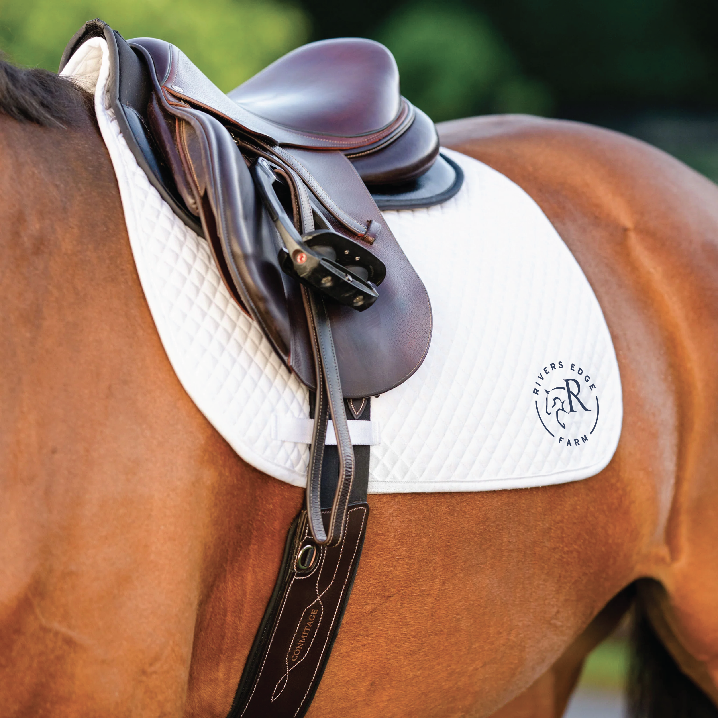 Rivers Edge Farm EquiFit Essential Jumping Pad