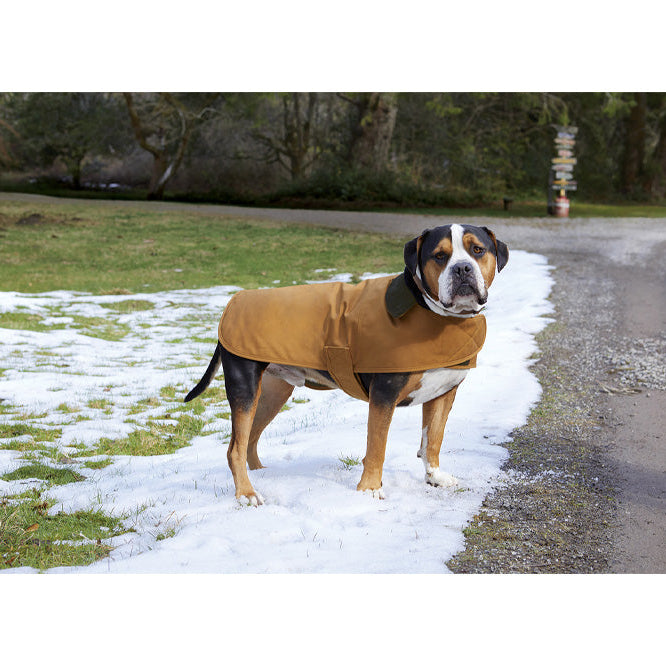 Kenilworth Riding School Carhartt Dog Chore Coat
