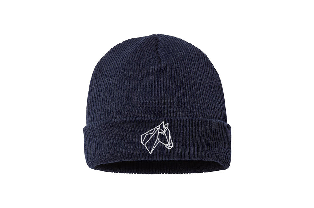 Giant Steps Columbia Whirlibird Cuffed Beanie