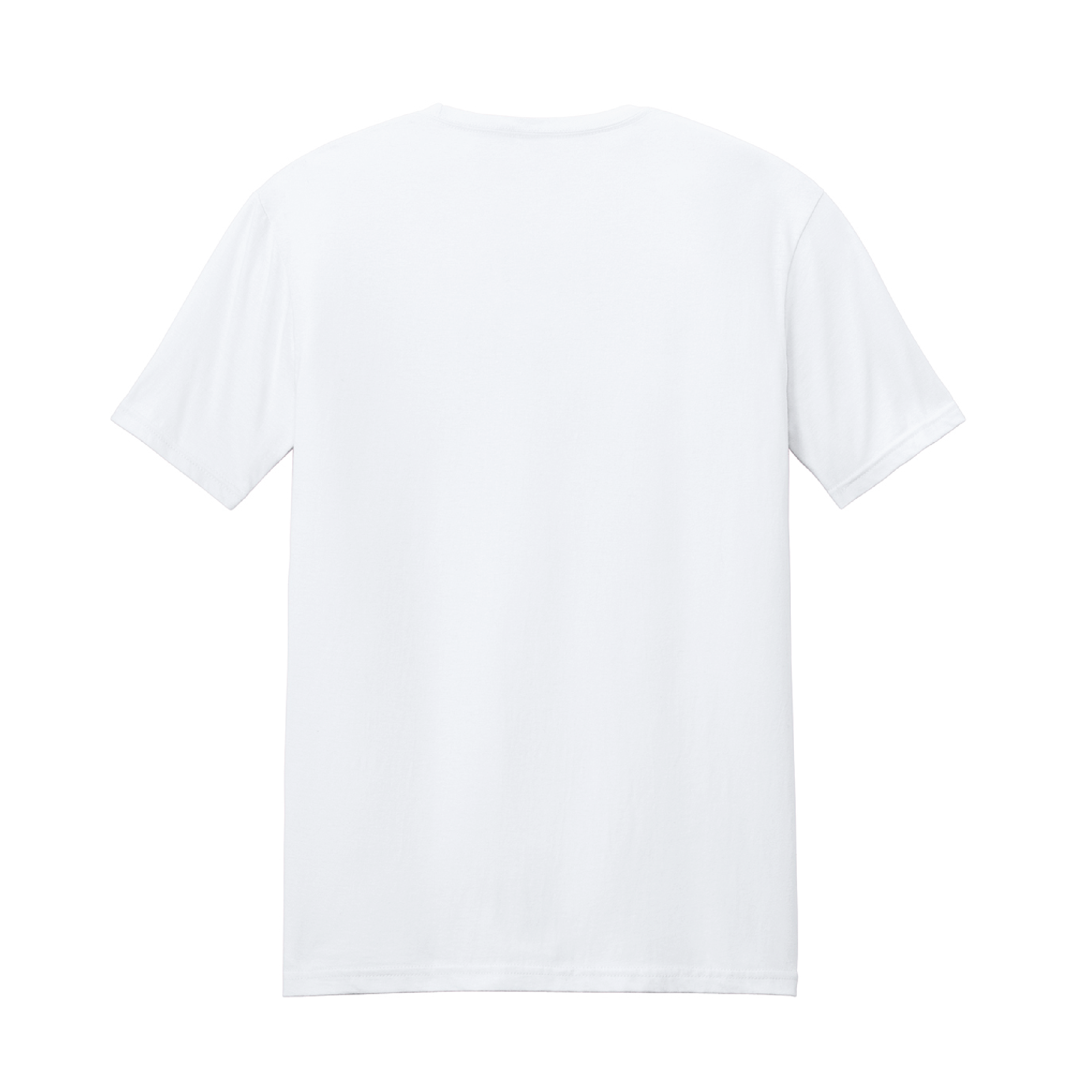Westwind IEA Men's Softstyle T-Shirt
