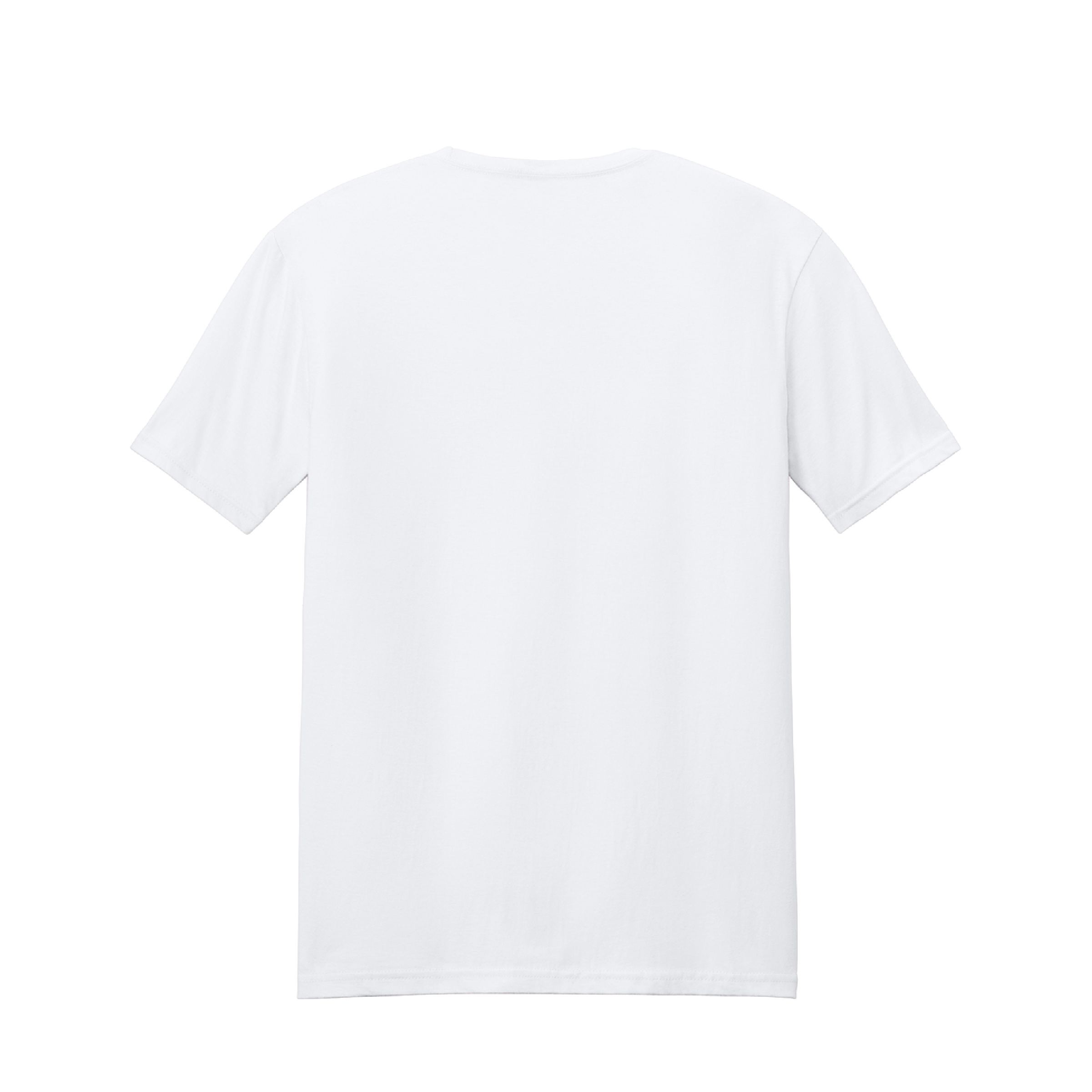 Aleron LLC Mens Gildan Softstyle Tee