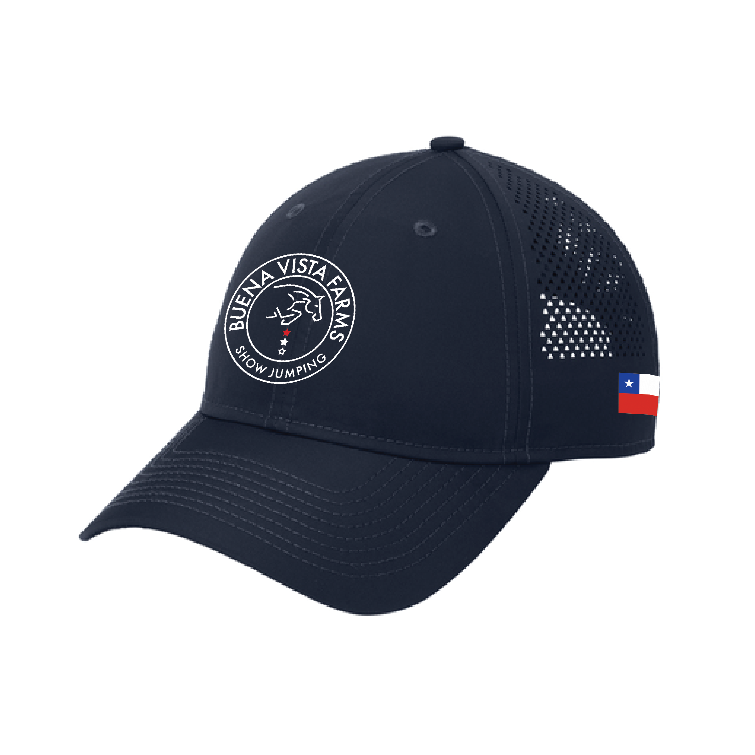 Buena Vista New Era Performance Hat
