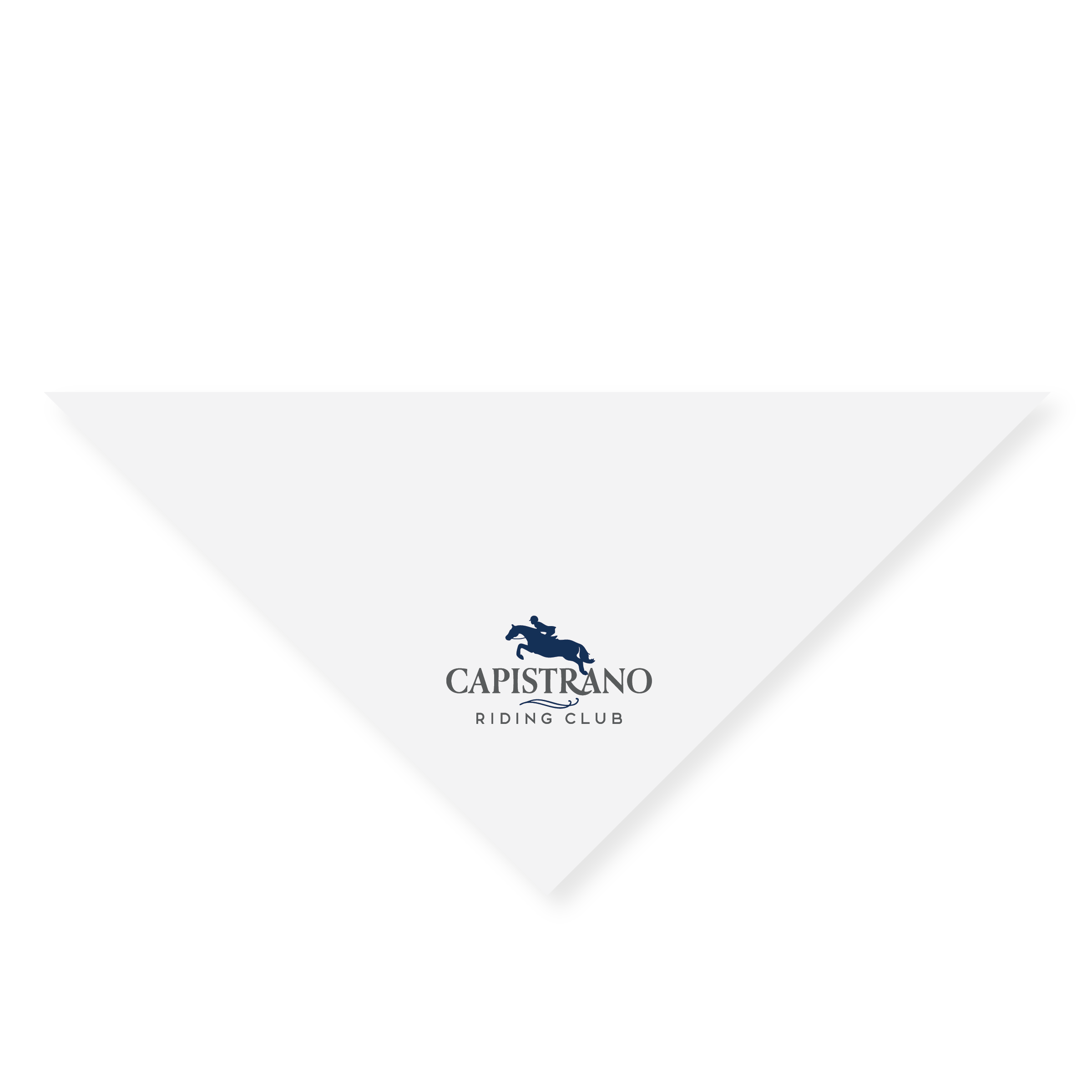 Dog Bandana