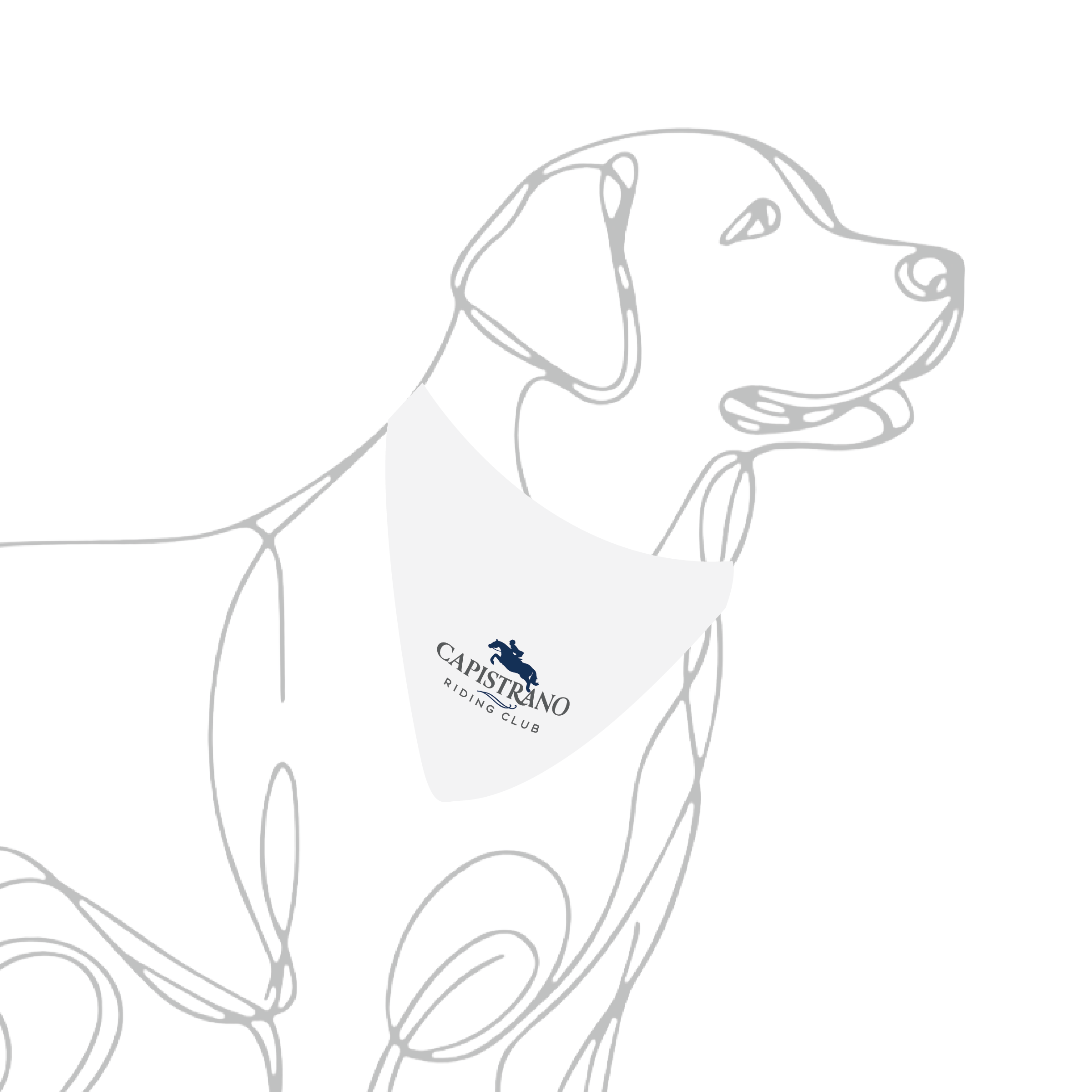 Dog Bandana