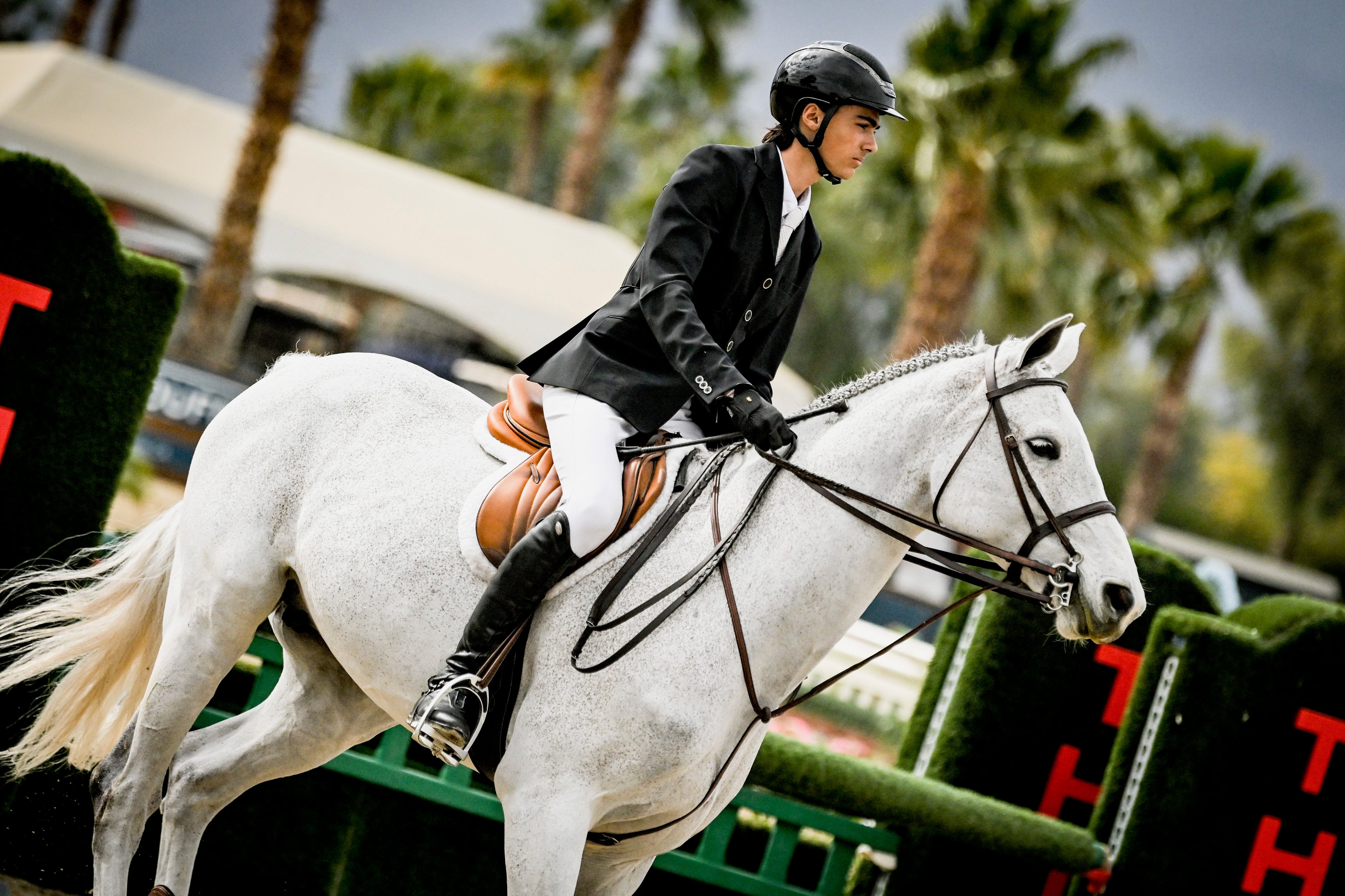 Equifit Essential Hunter Pad