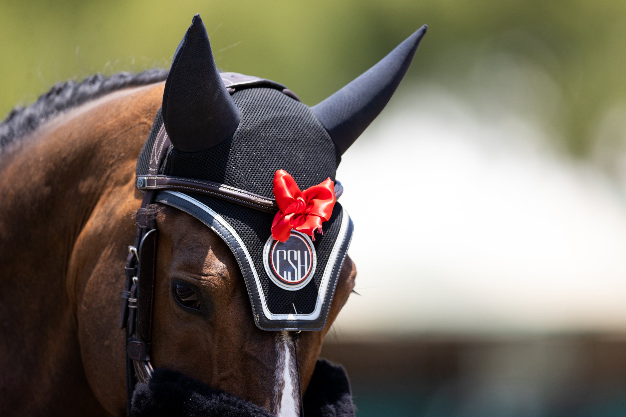 Equifit SilentFit Ear Bonnet