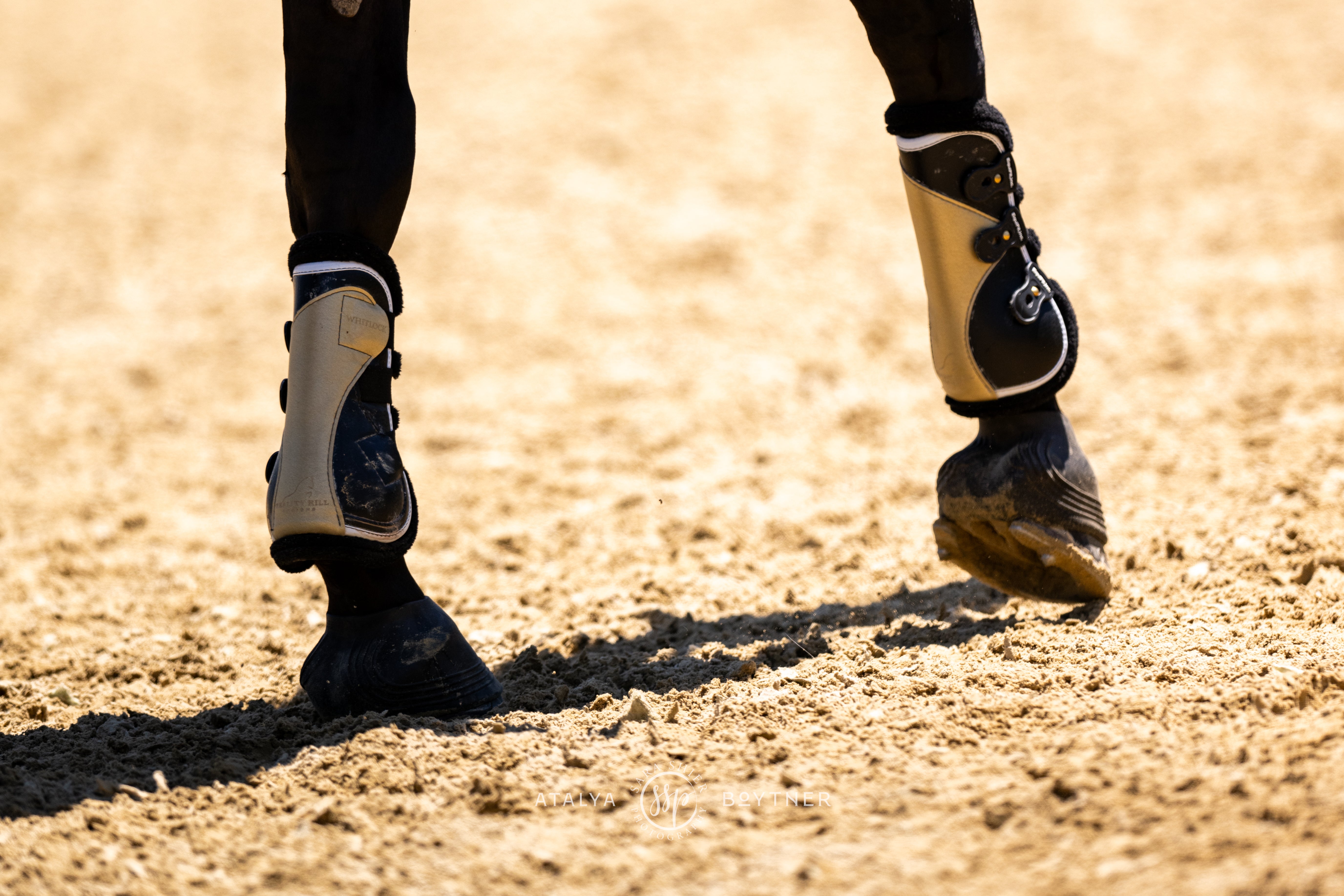 Custom Equifit D-teq Front Boot
