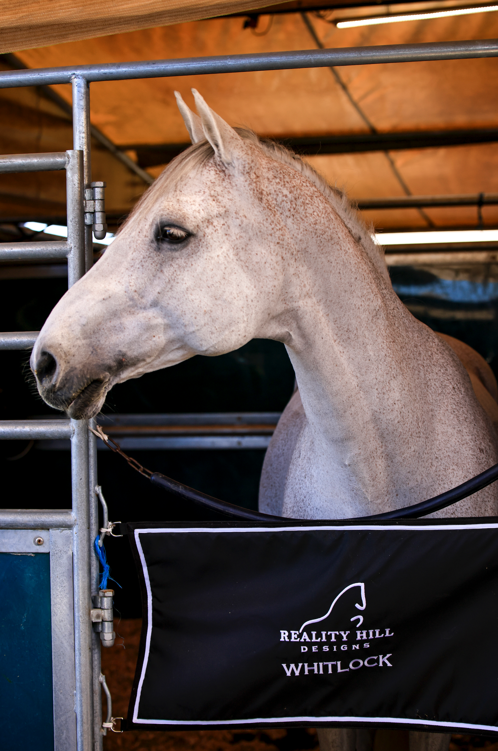 Custom Stall Guard & Bridle Drape