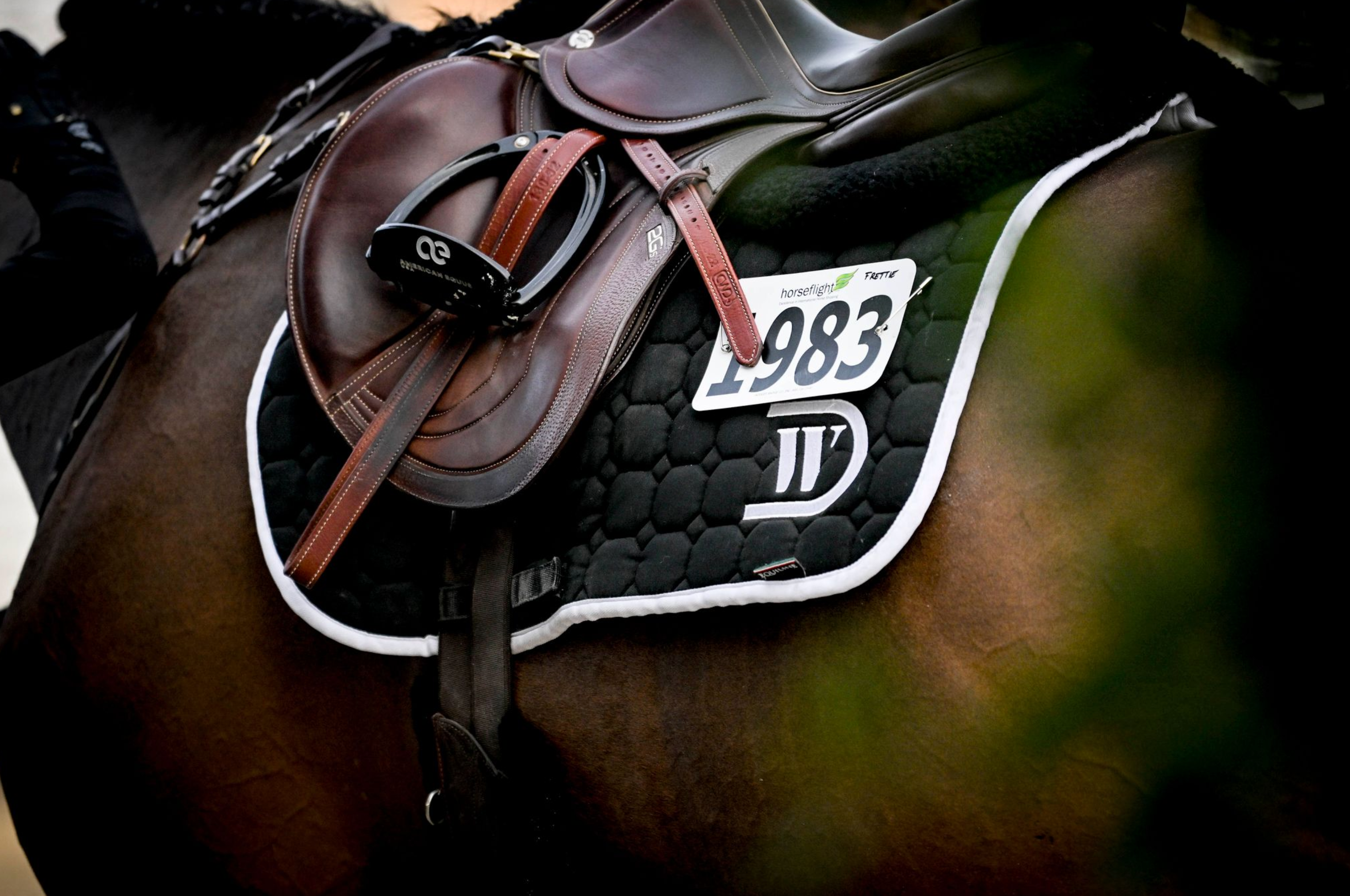 Equiline Custom Jumping Pad