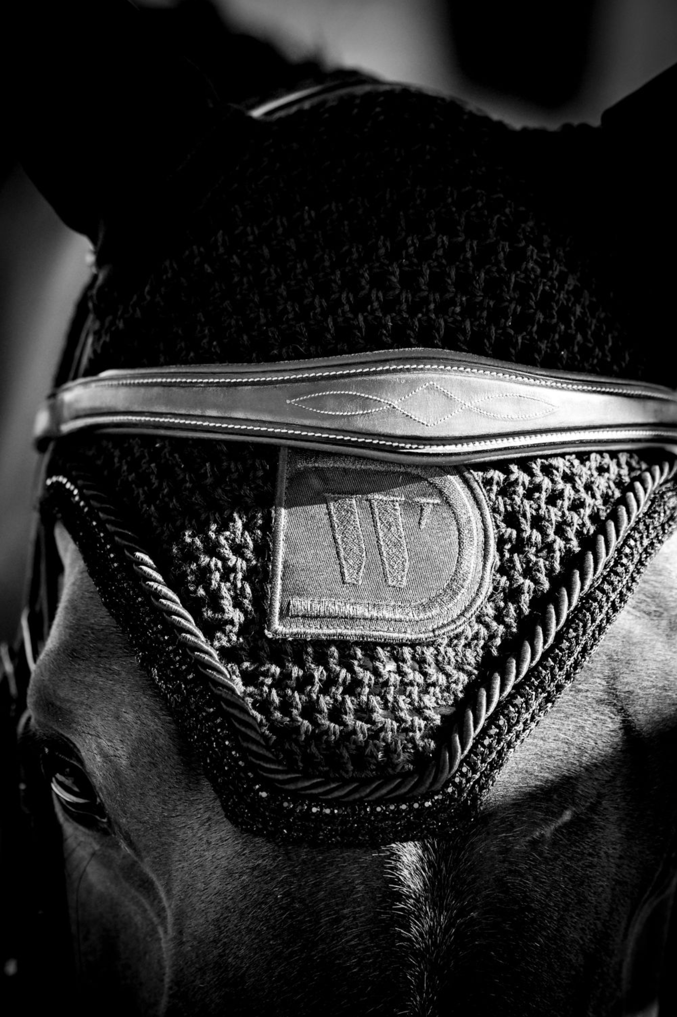 Talisman Square Front Bonnet