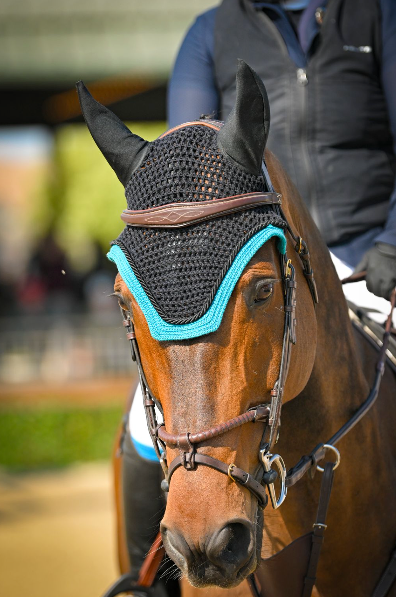 Talisman Square Front Bonnet