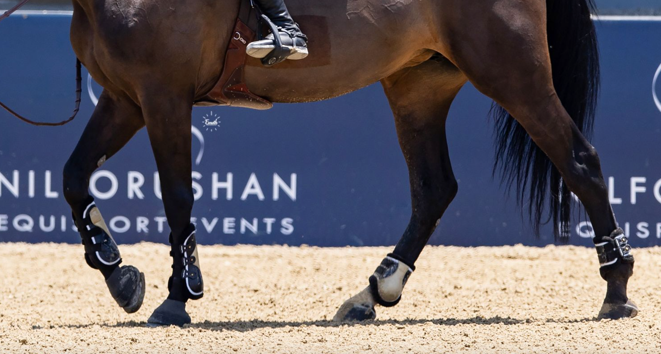 Custom Equifit D-teq Hind Boot