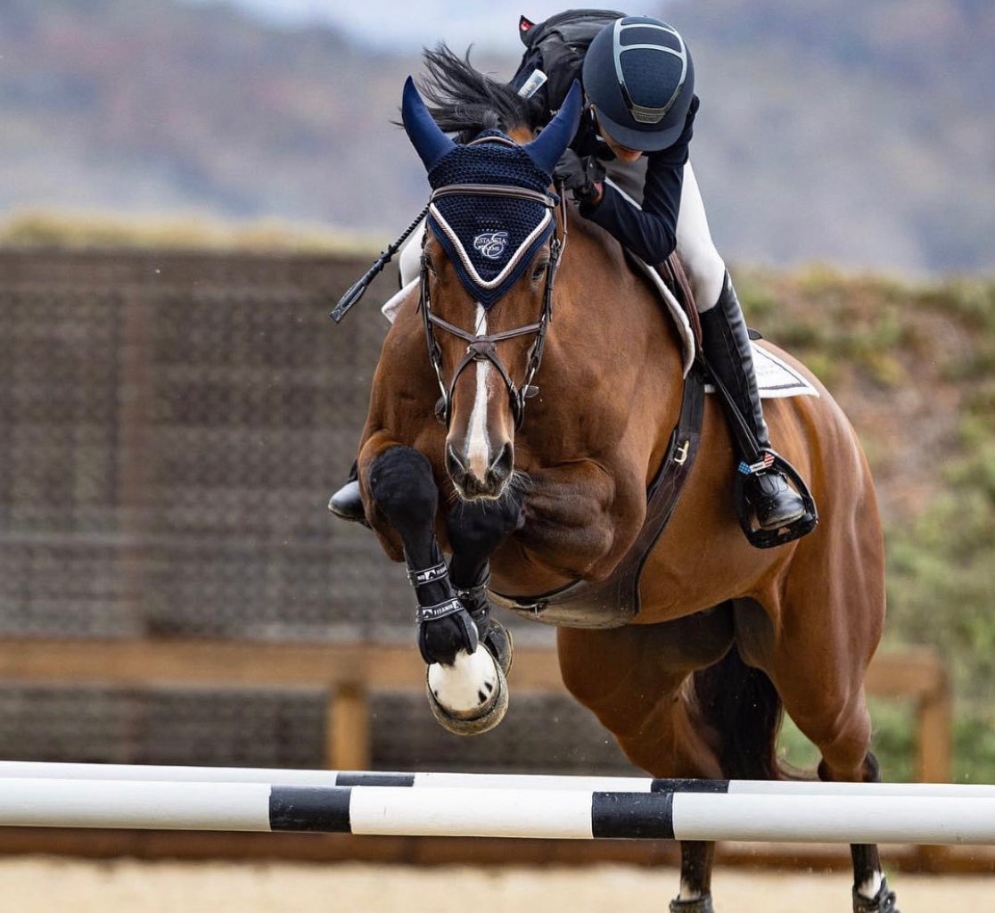 Estancia Farms Talisman Tie-Down Jumping Bonnet