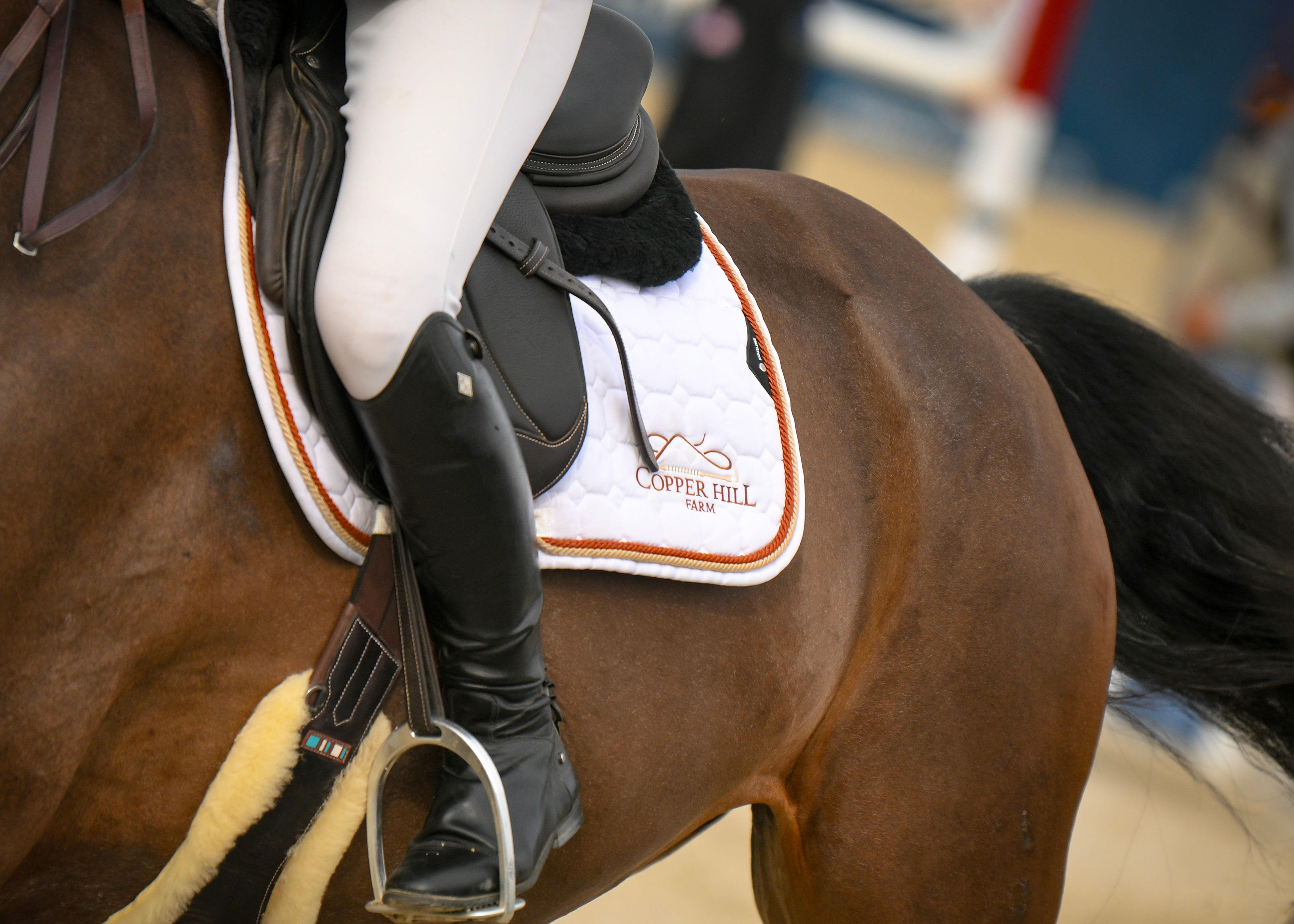 Copper Hill Farm Equiline Custom White Jumping Show Pad