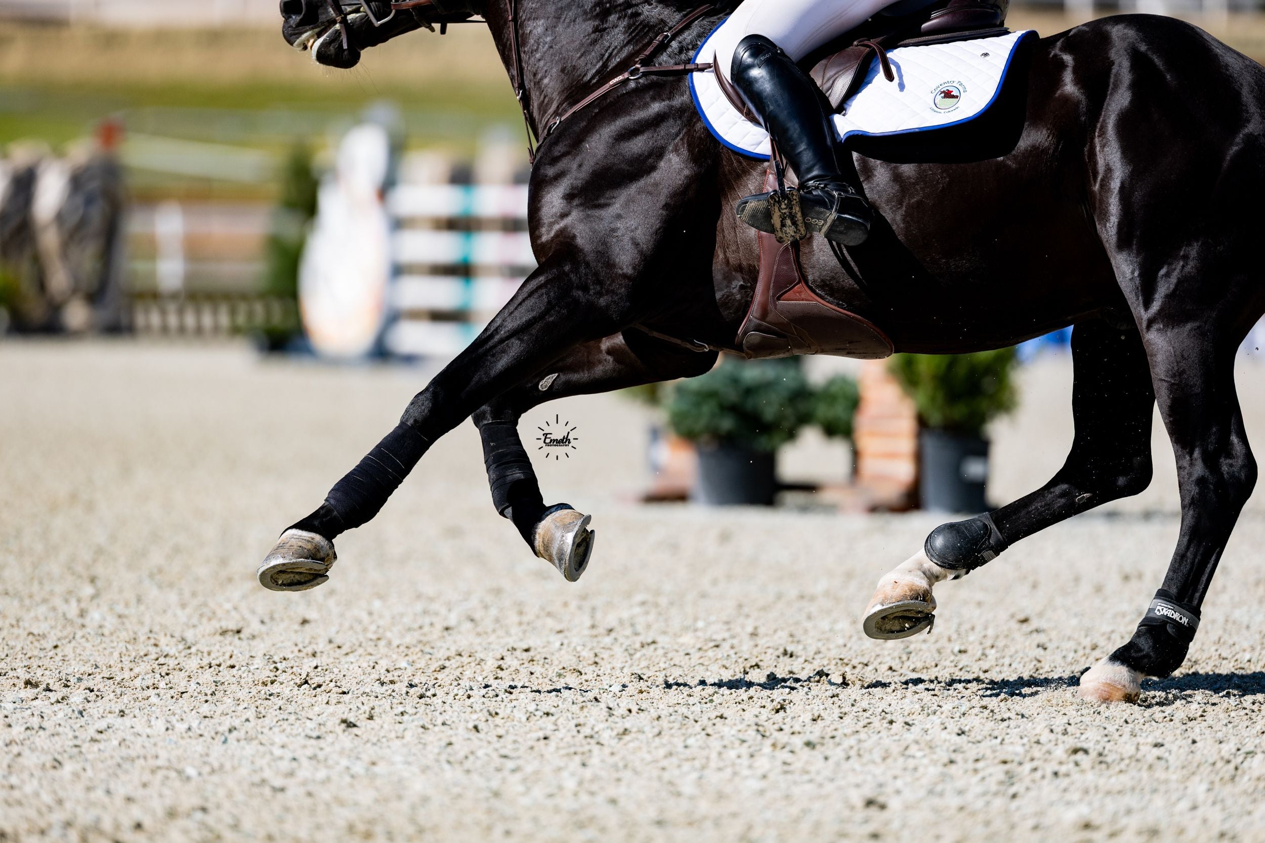 Coventry Farms Ogilvy Equestrian Jump Profile Pad