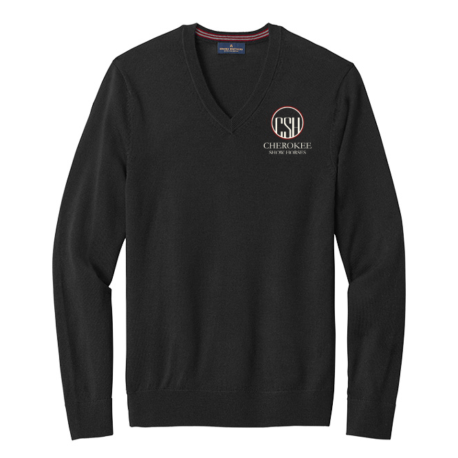Men's Brooks Brothers Washable Merino Wool V-Neck Sweater