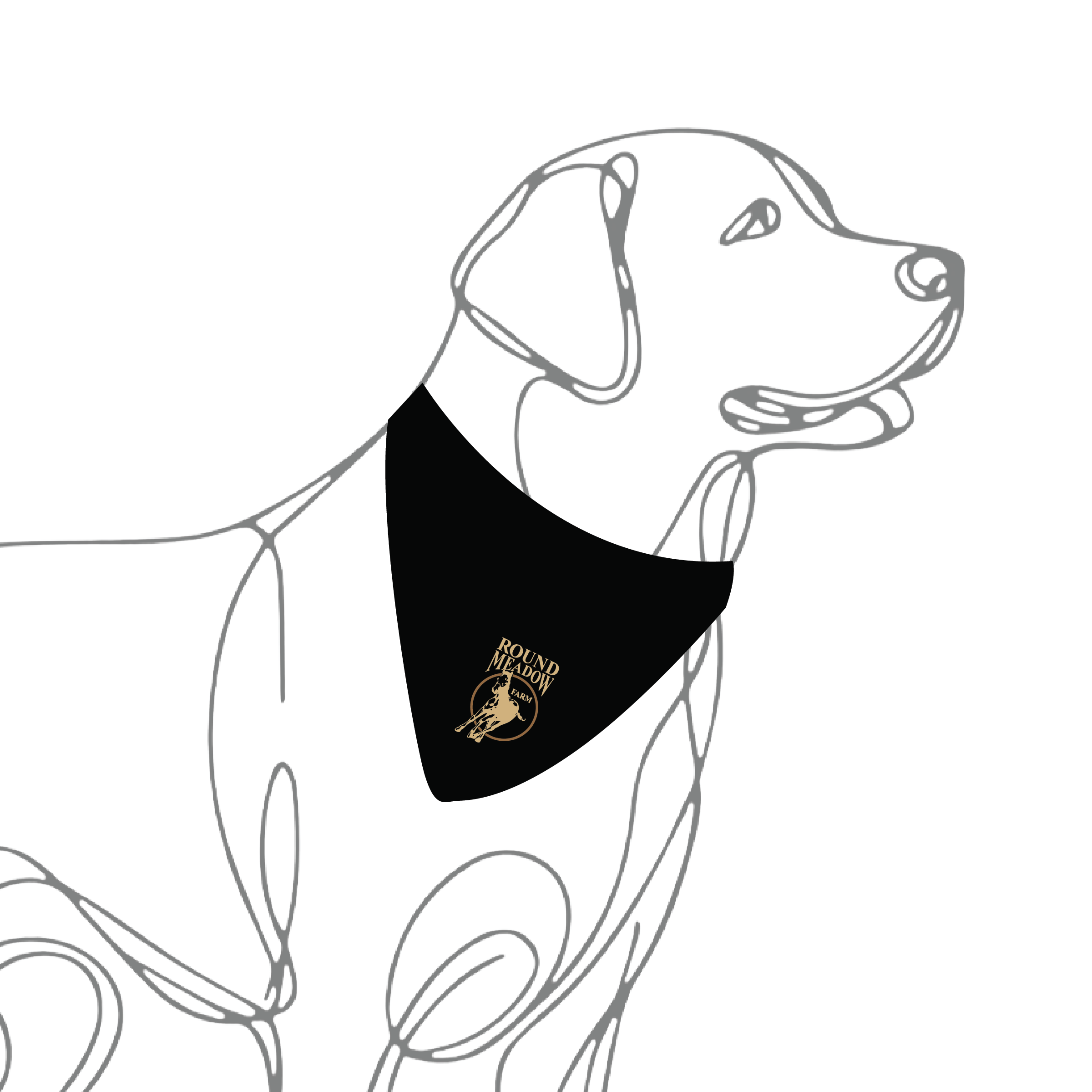 Round Meadow Dog Bandana