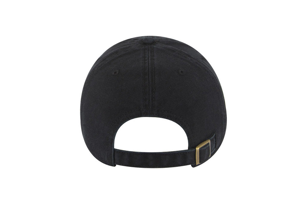 Fox Hollow Low Profile Dad Baseball Cap