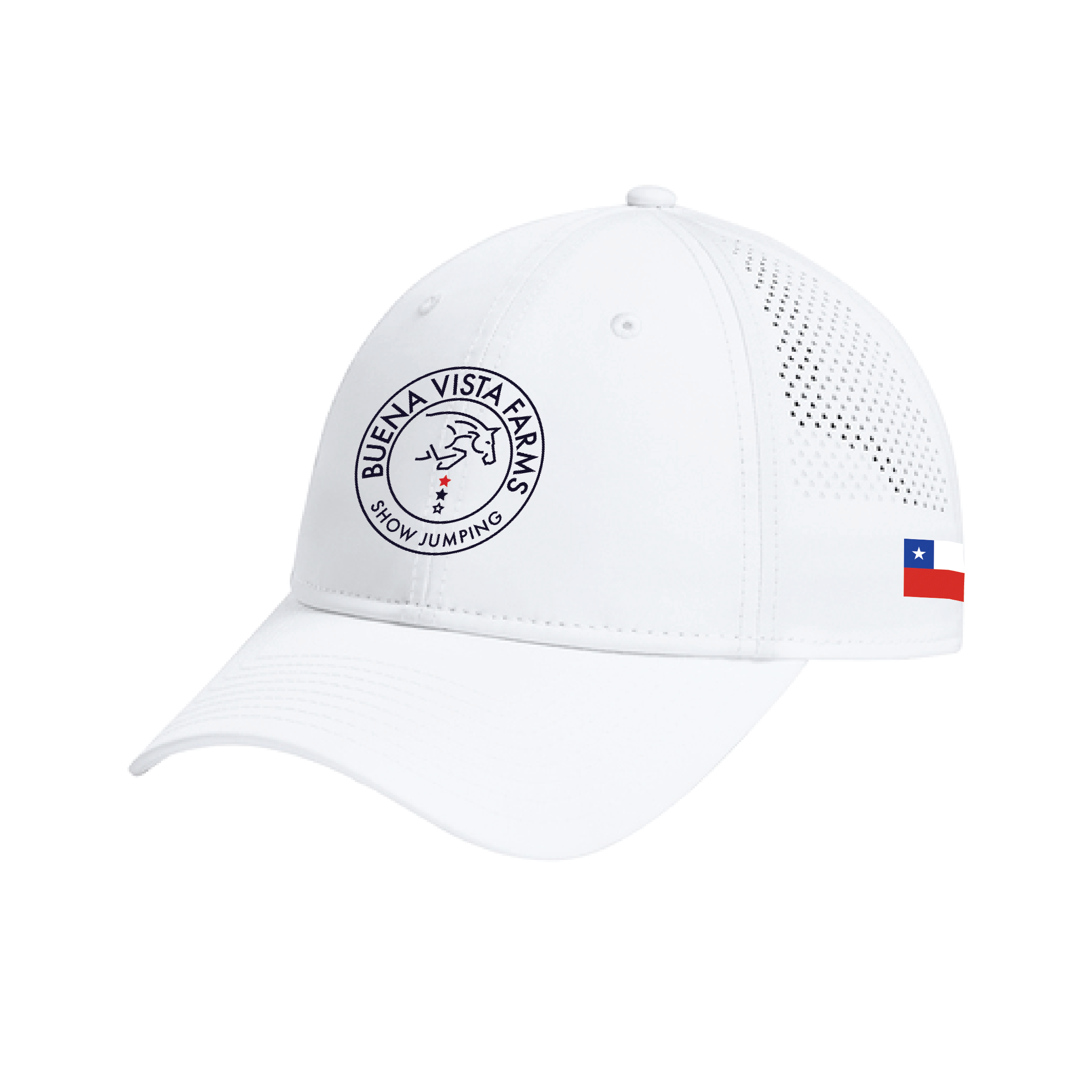 Buena Vista New Era Performance Hat
