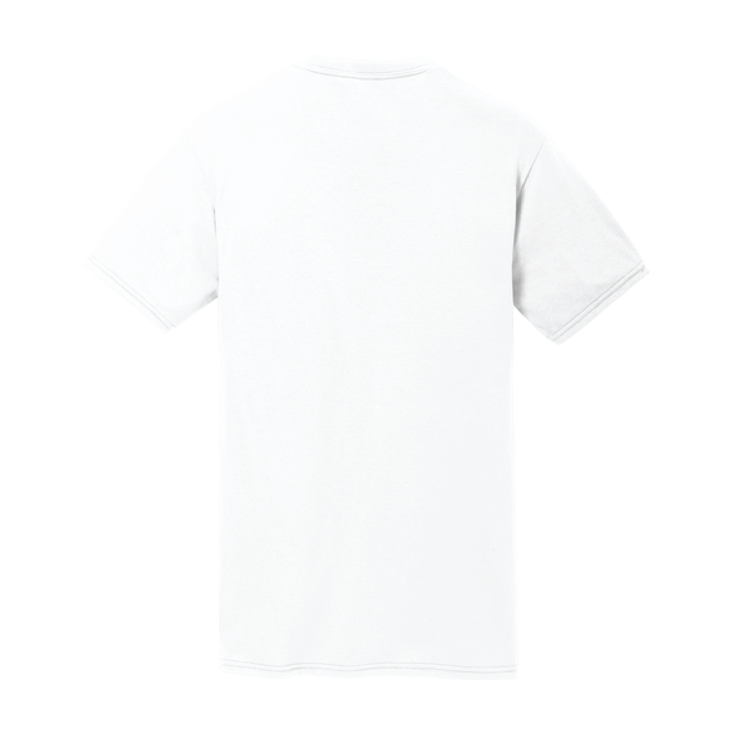 Buena Vista Men's Port & Co Performance Blend Tee