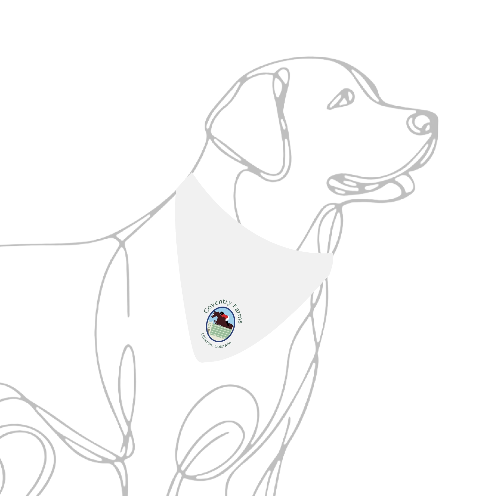 Coventry Farms Dog Bandana