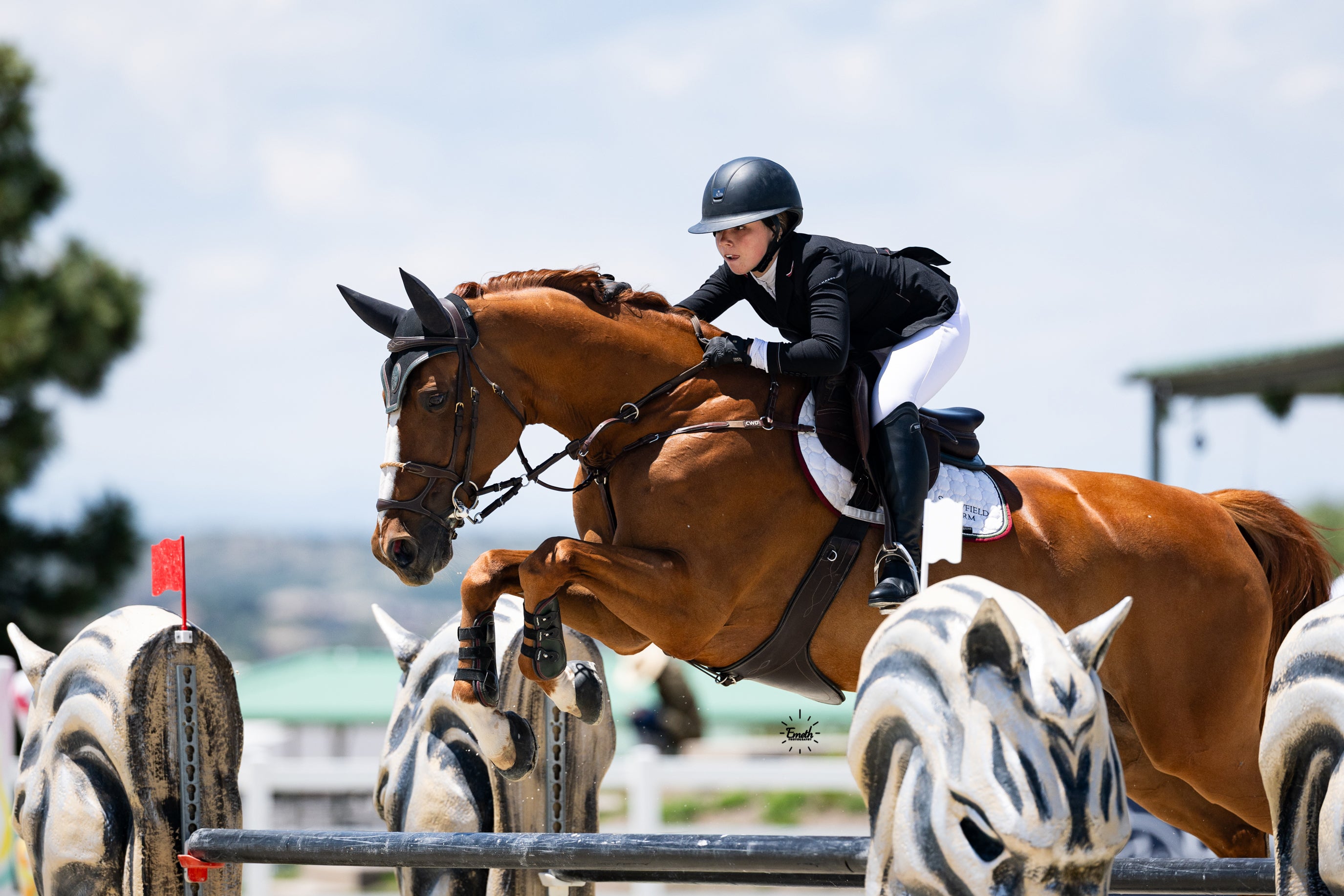 Snowfield Farm Custom Equifit Ear Bonnet