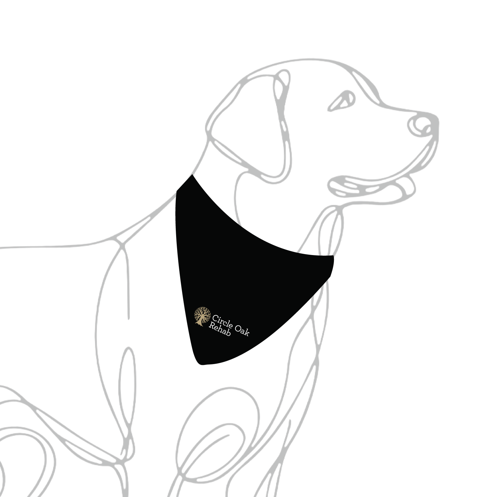 Petaluma Equine Dog Bandana