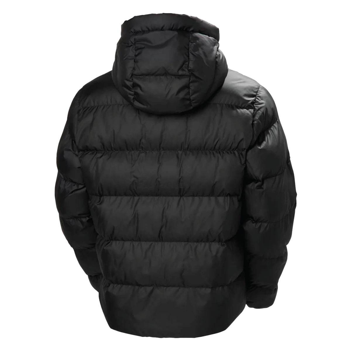 KS Sporthorses Men's Helly Hansen Active Puffy Long Jacket