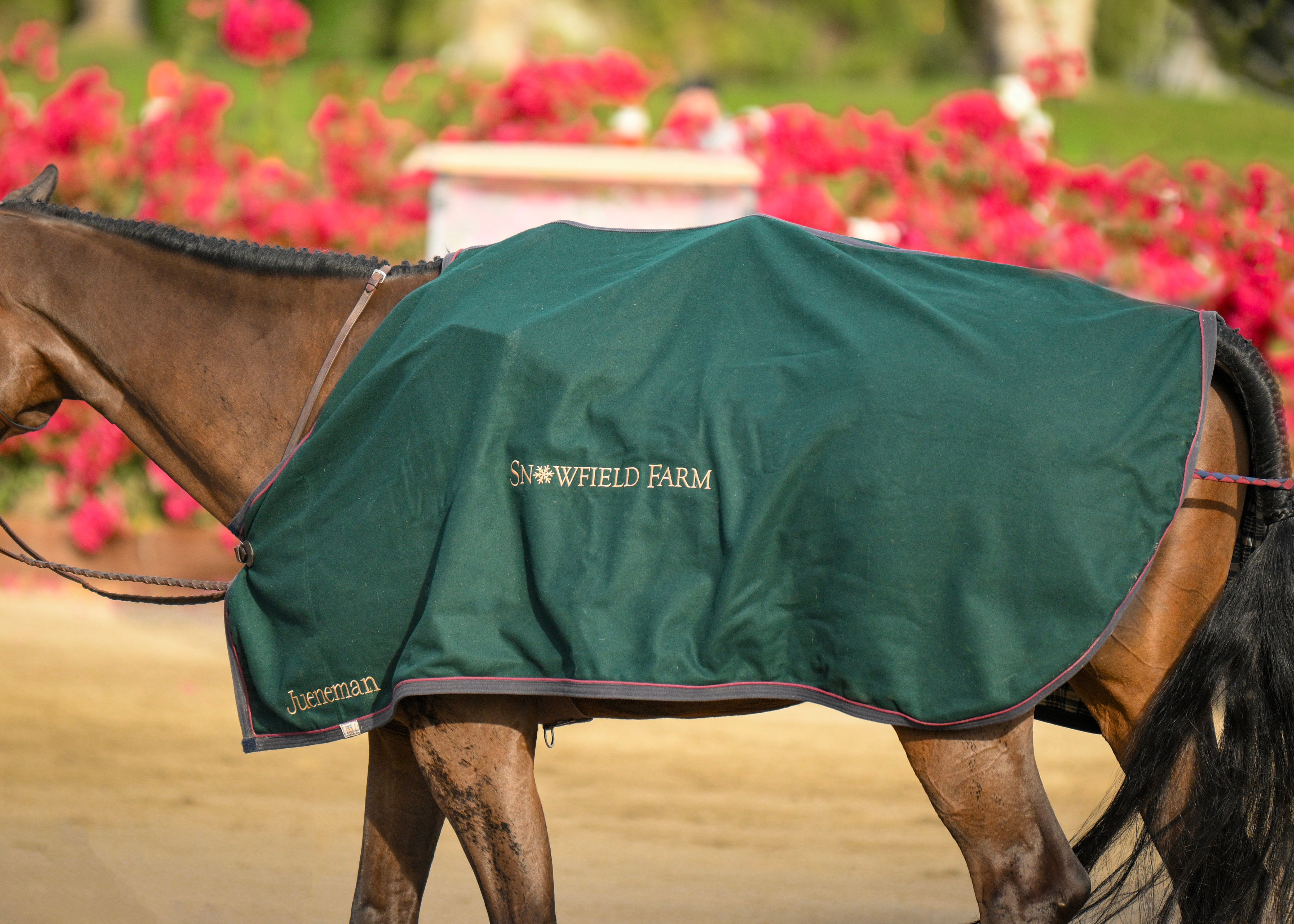 Snowfield Farm Custom Wool Dress Cooler