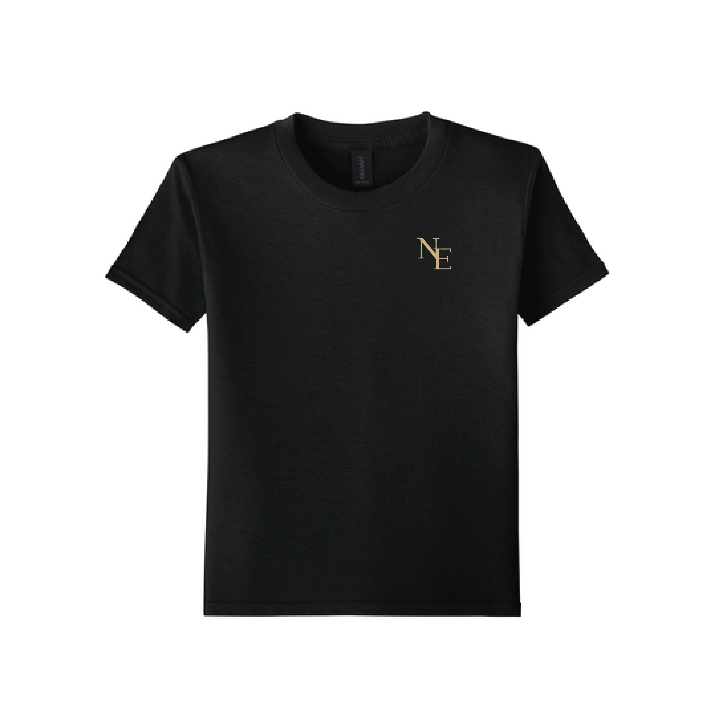 Newman Equestrian Youth Softstyle T-Shirt