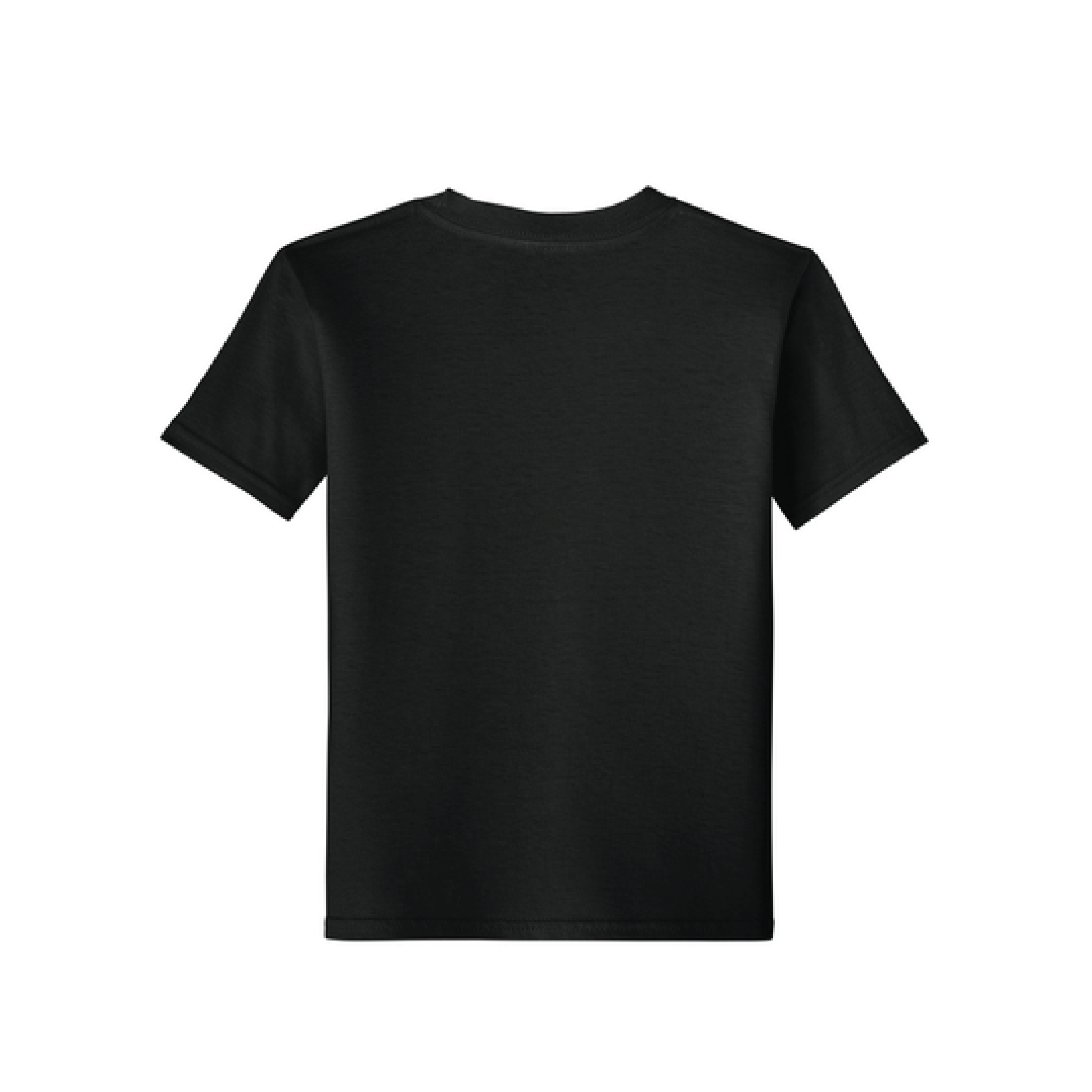 Newman Equestrian Youth Softstyle T-Shirt