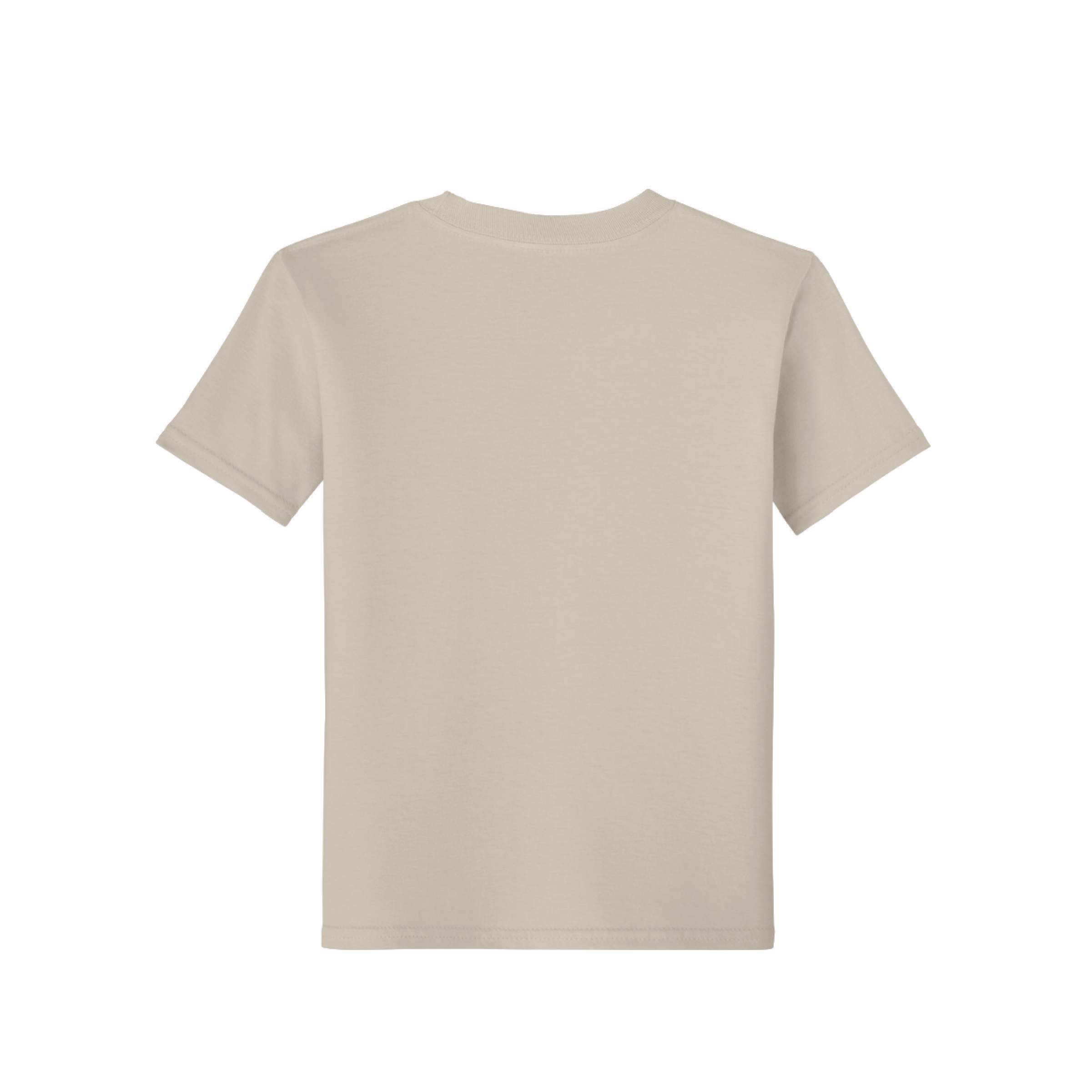 Newman Equestrian Youth Softstyle T-Shirt