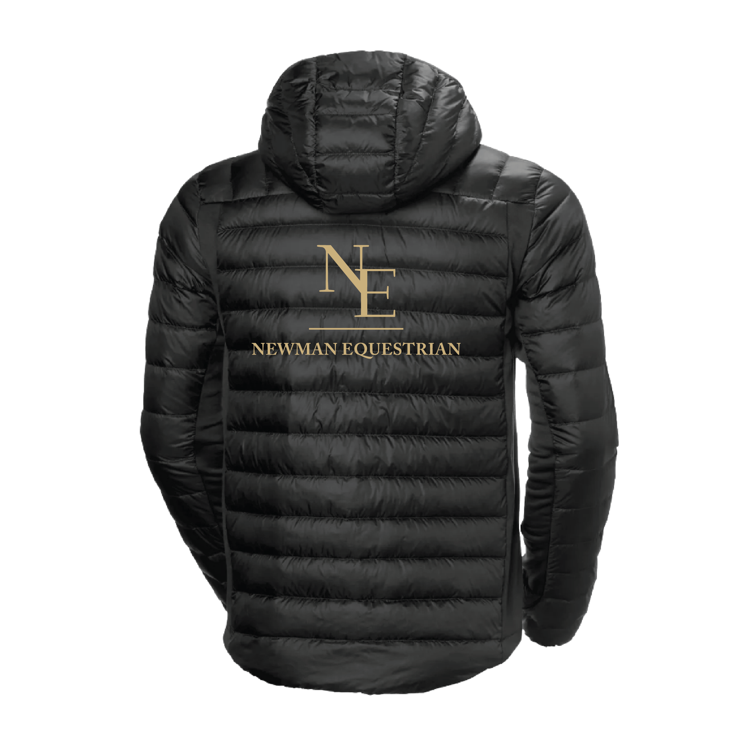 Newman Equestrian Men's Helly Hansen Verglas Down Hybrid Hood
