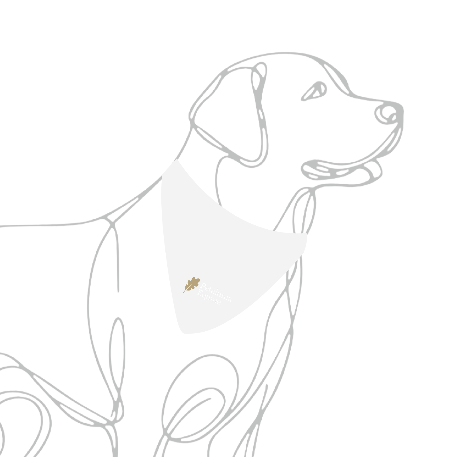 Petaluma Equine Dog Bandana