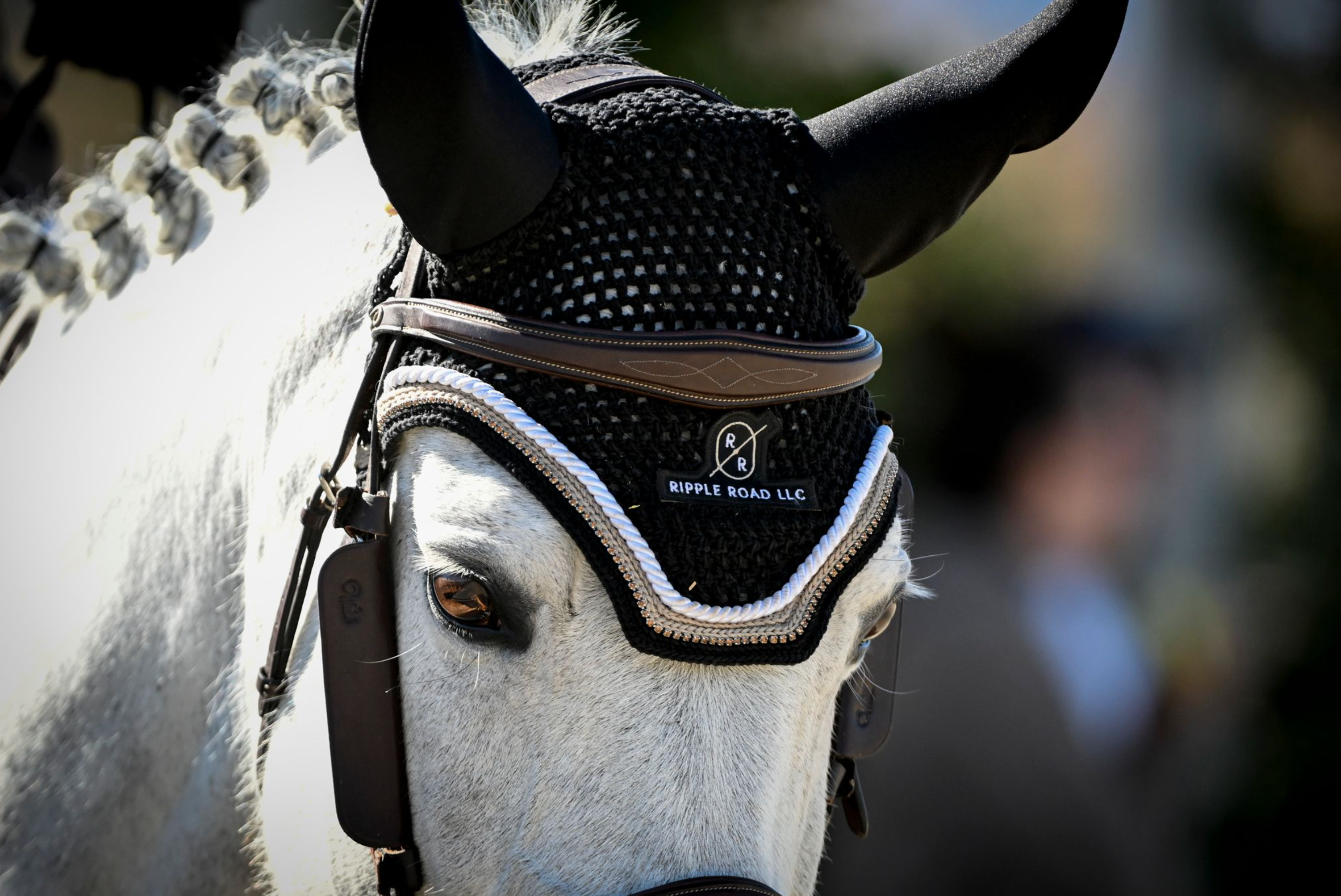 Talisman Square Front Bonnet
