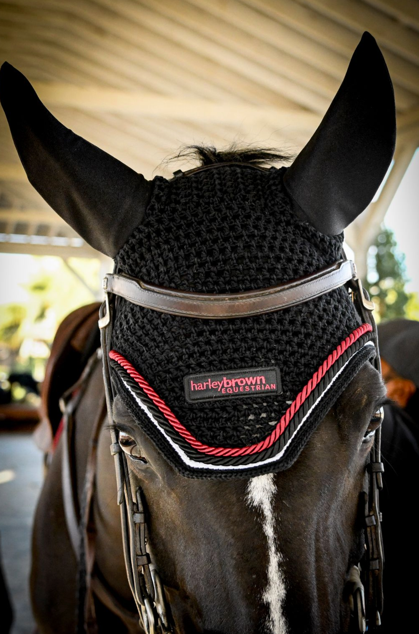 Talisman Square Front Bonnet