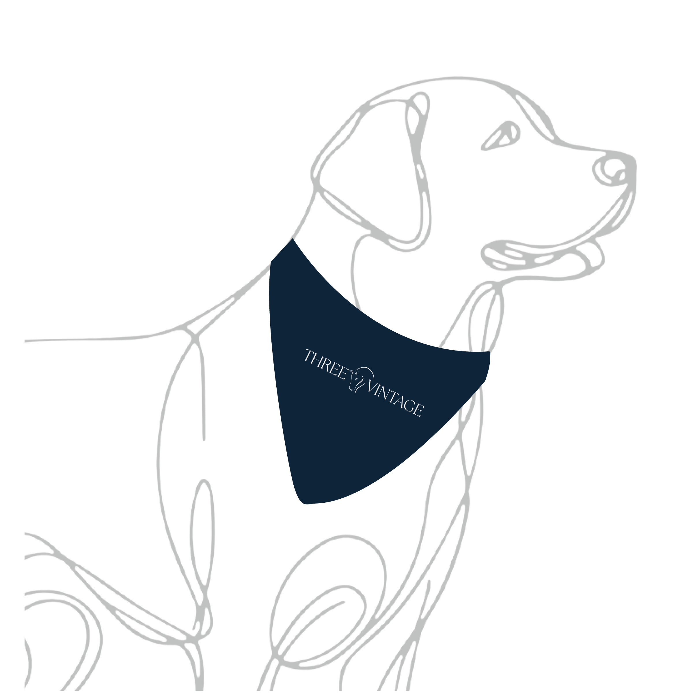 Three Vintage Dog Bandana
