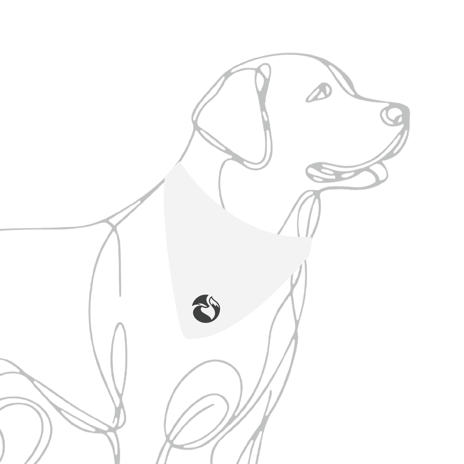 Wildfox Farm Dog Bandana