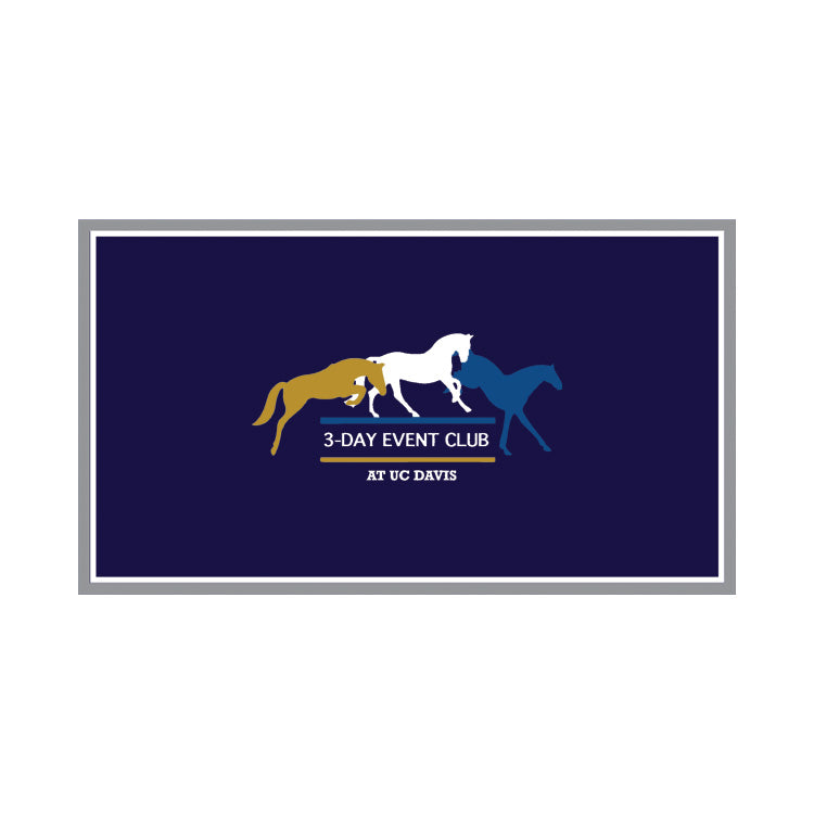 UC Davis Eventing Custom Stall Guard +Bridle Drape