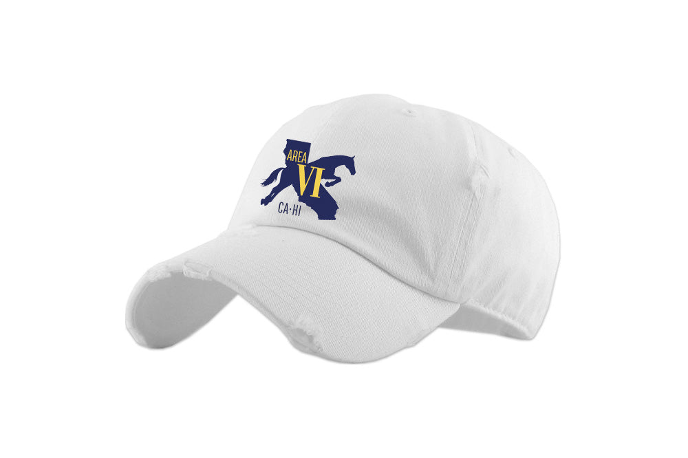 Area VI Vintage Washed Baseball Cap
