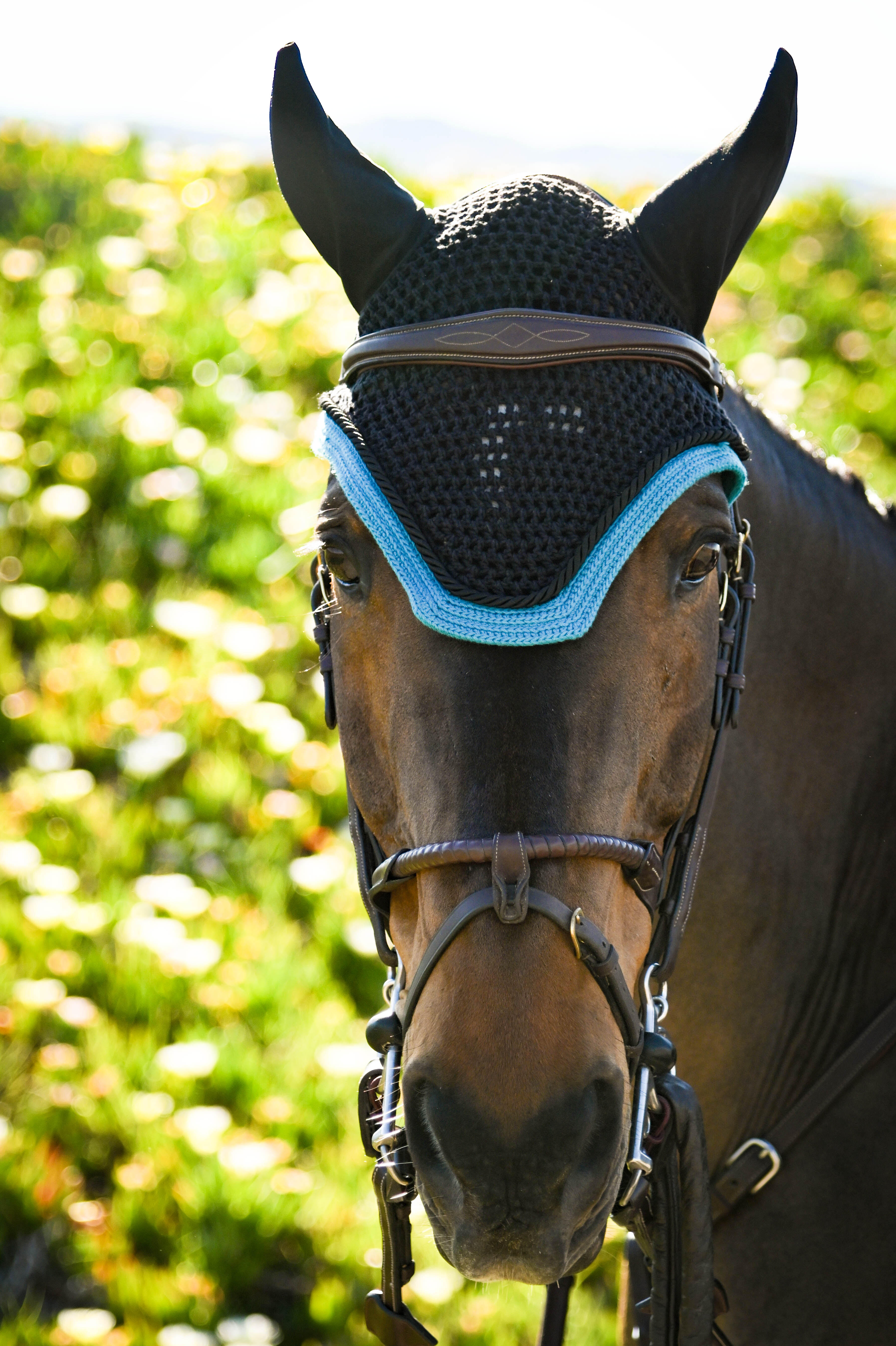 Berg Equestrian Talisman Square Jumping Bonnet