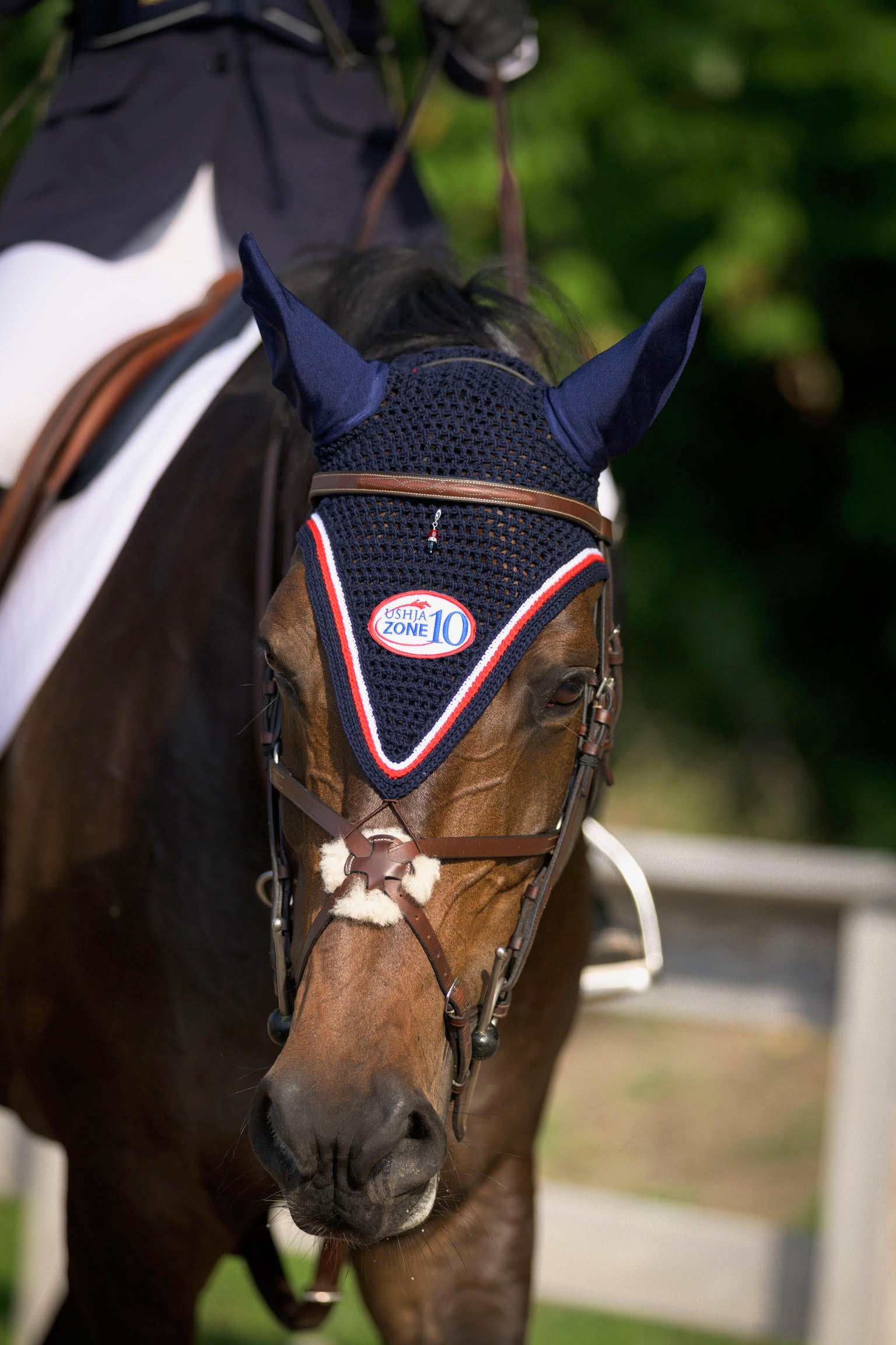 Zone 10 Talisman Tie-Down Jumping Bonnet